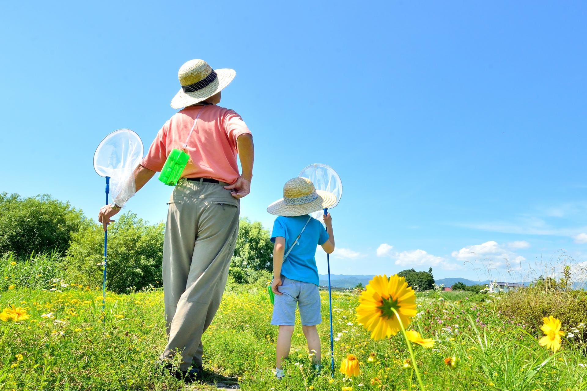 夏季休業のお知らせの画像