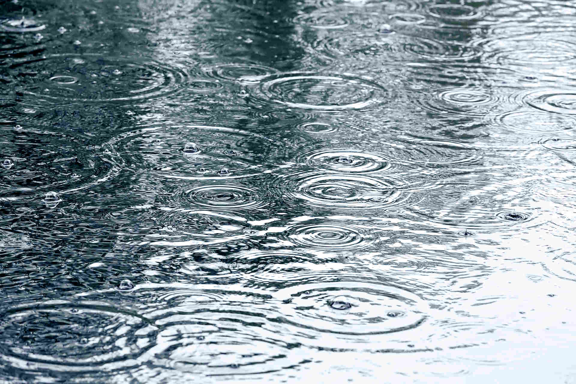 西日本豪雨で被災された皆様に心よりお見舞いを申し上げます。の画像